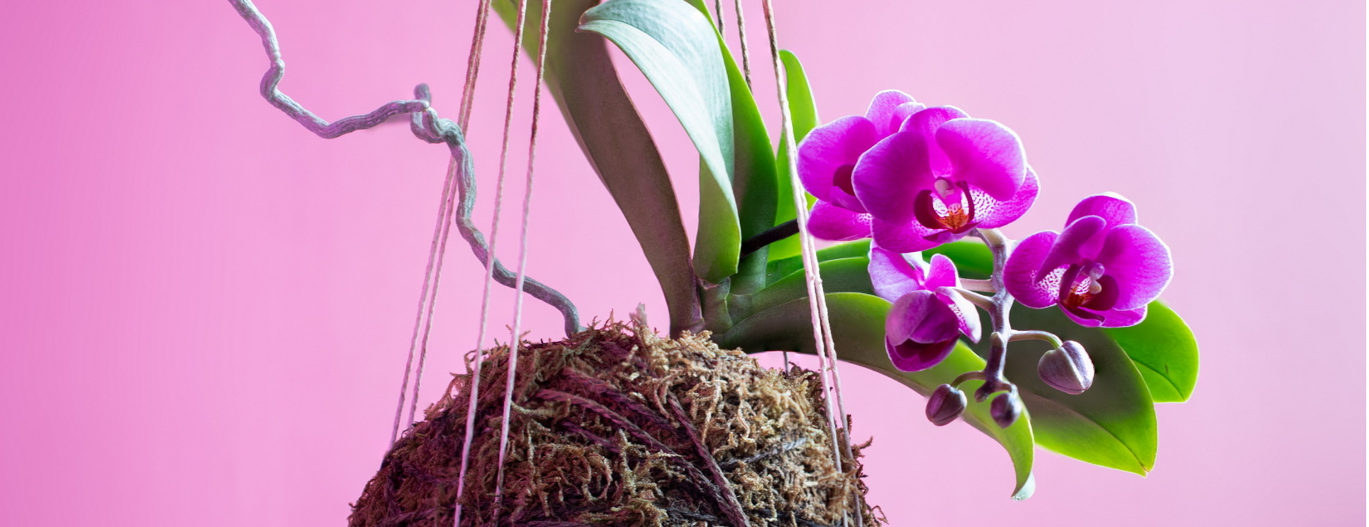 Mother's Day Mom's Night Out